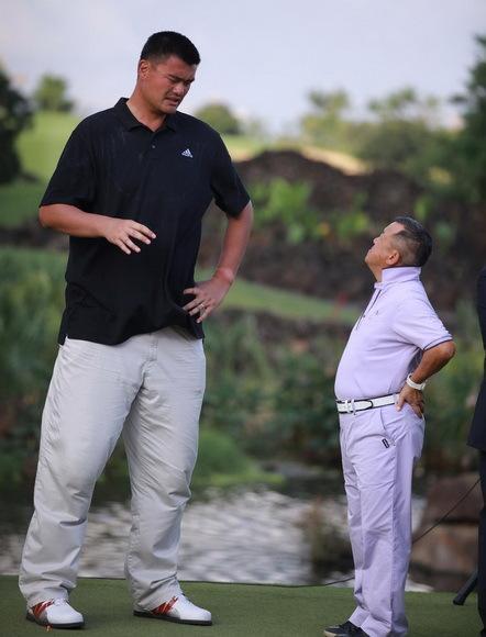 姚明身高是多少