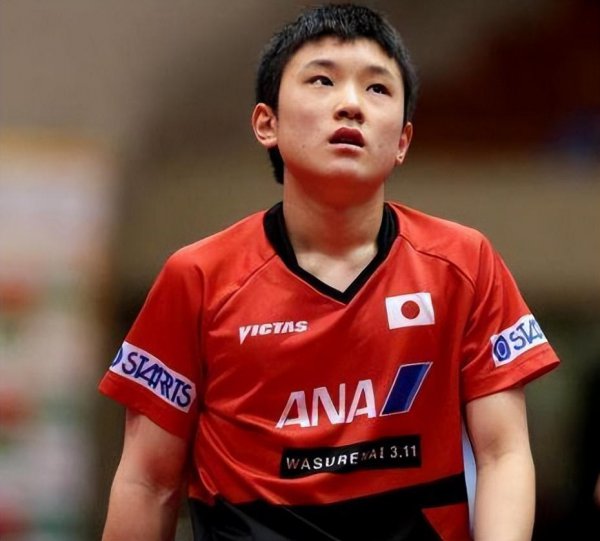 张本智和为什么改国籍