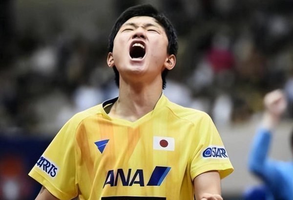 张本智和为什么改国籍