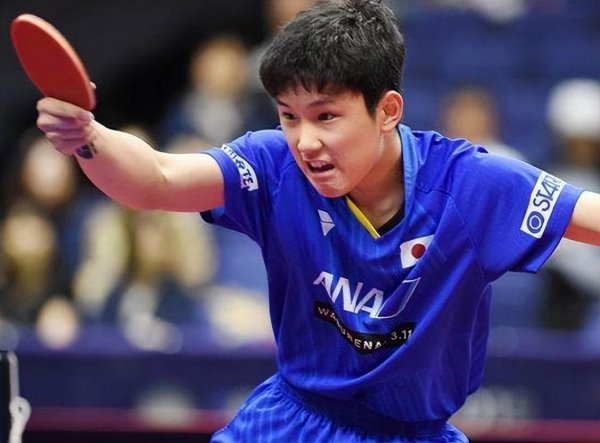 张本智和为什么改国籍