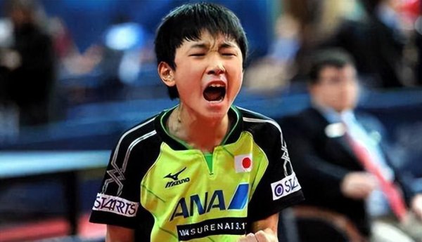 张本智和为什么改国籍