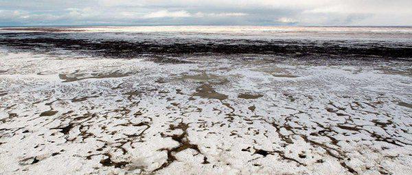 大陆漂移说是谁提出来的