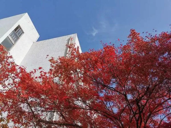 淮阴师范学院属于一本还是二本学校