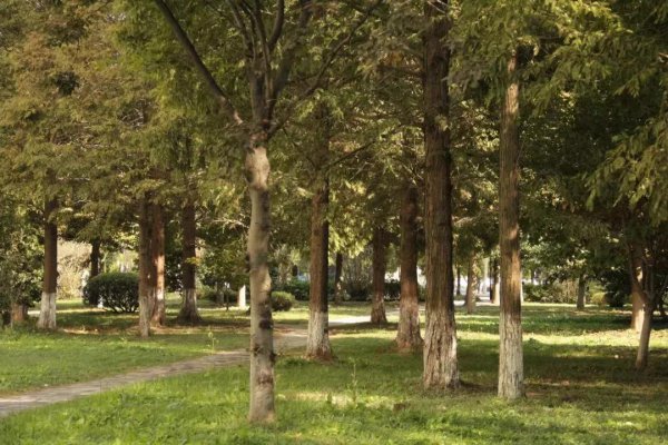 淮阴师范学院属于一本还是二本学校