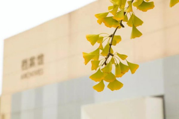 淮阴师范学院属于一本还是二本学校