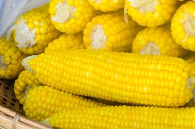 玉米要蒸多少分钟才能熟 上锅蒸玉米用冷水还是开水