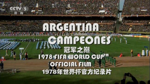 南美世界杯有几个名额