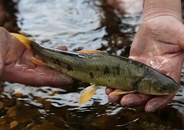 我国面积最大的咸水湖