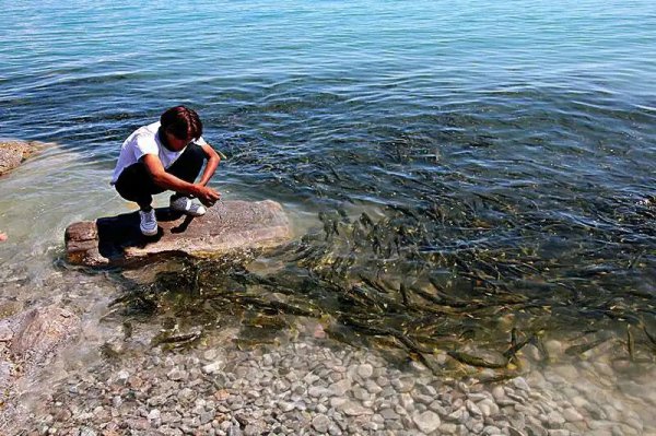 我国面积最大的咸水湖