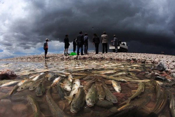 我国面积最大的咸水湖