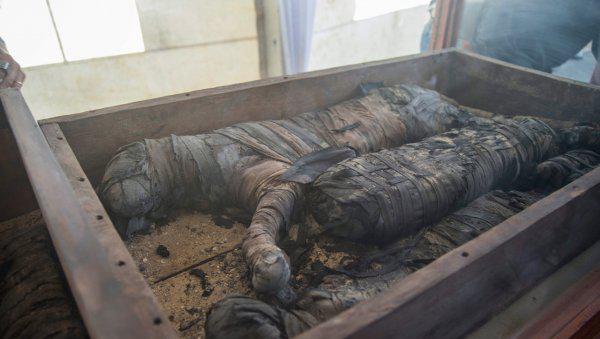 中国古代有狮子吗