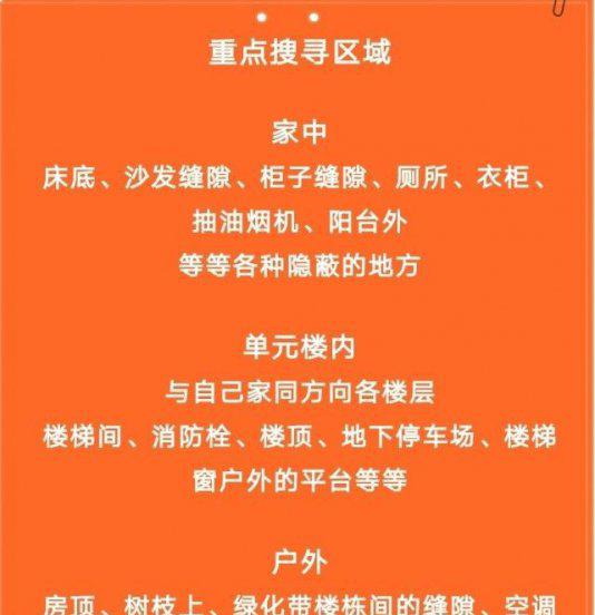 猫丢了晚上几点最容易找到