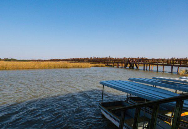 上海人为什么讨厌崇明岛