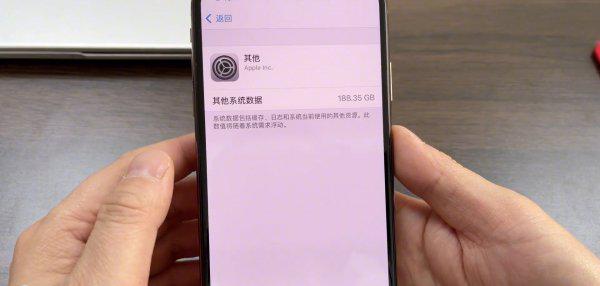 苹果手机其他占内存很大去哪删除