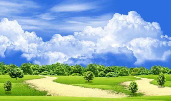 退休后的女性适合找什么工作