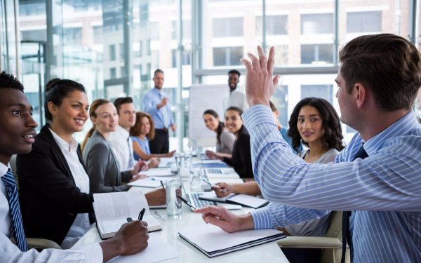 新手开会怎么发言