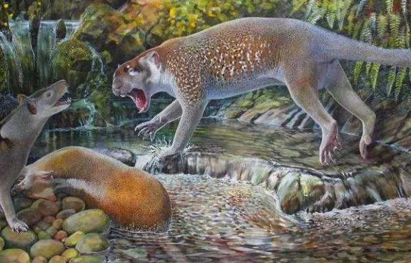 狮虎兽可以繁衍后代吗