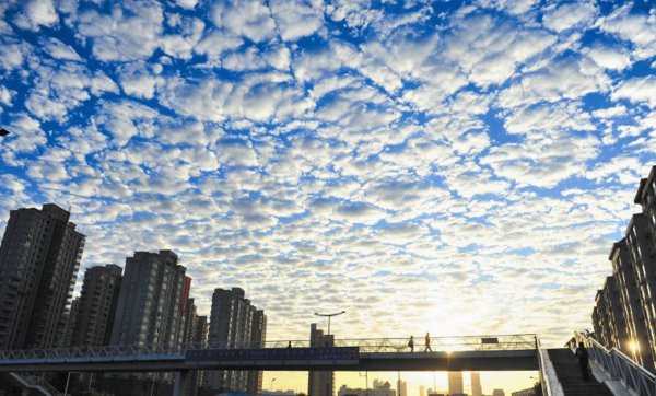 鱼鳞云有什么预兆