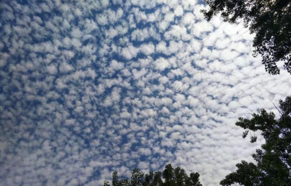 鱼鳞云有什么预兆