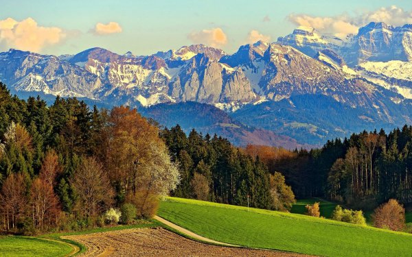 宁静致远的深层含义是什么