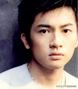 苏有朋祖籍是江西哪里 苏有朋祖籍江西丰城真的假的