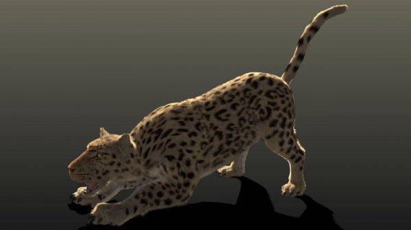 米勒实验证明了什么的存在