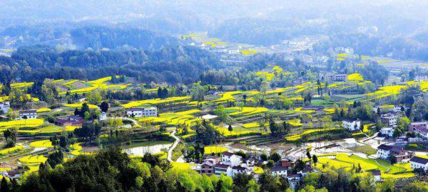 汉中在哪里属于哪个省