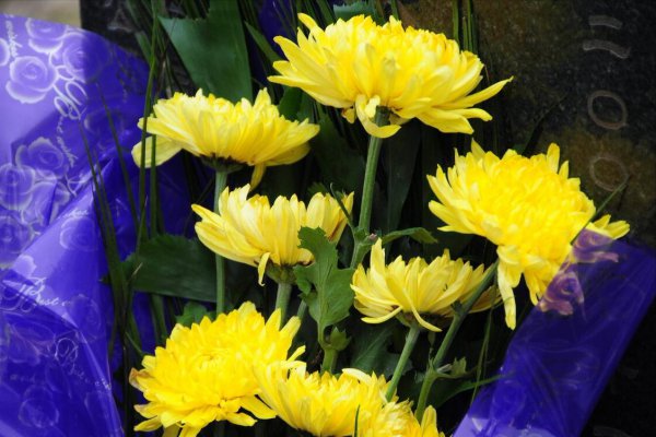 扫墓可以穿红衣服吗