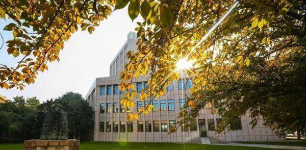 西安交通大学在哪里