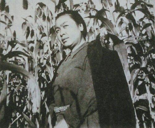 作家丁玲个人资料简介