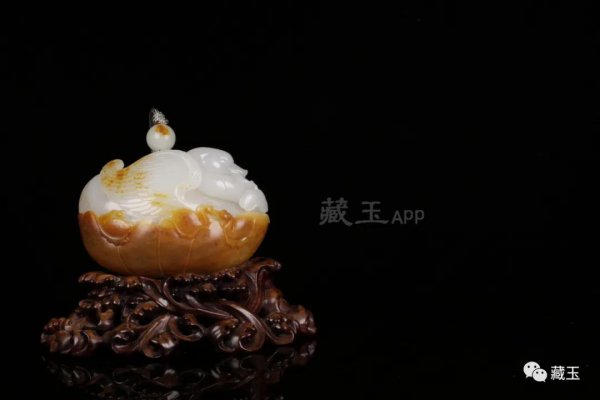 和田玉养人是真的吗