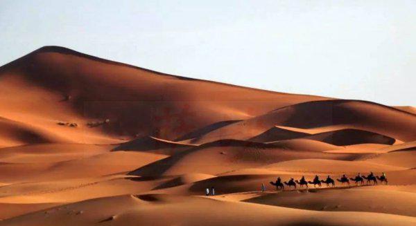 北非是黑人还是白人