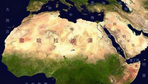 北非是黑人还是白人