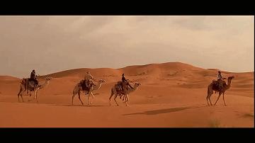 北非是黑人还是白人