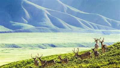 霍布斯的思想主张及影响