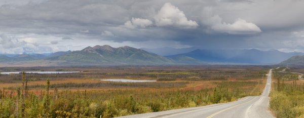 葡萄是什么时候传入中国的