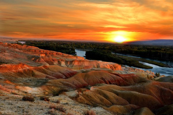 葡萄是什么时候传入中国的