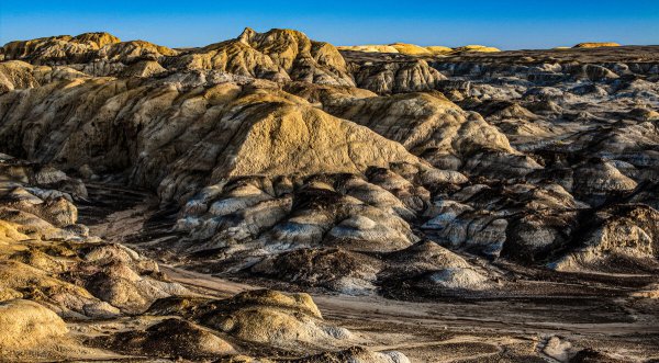 葡萄是什么时候传入中国的