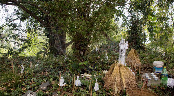 下蛊是哪个少数民族的特色