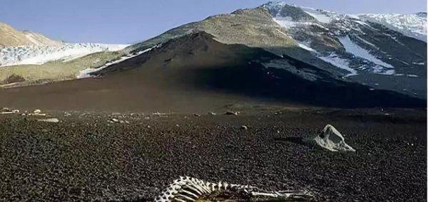 昆仑山为什么是禁区