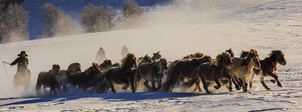 昆仑山为什么是禁区