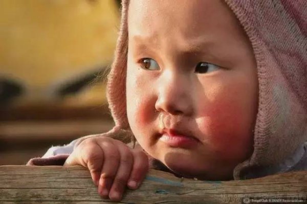 蒙古语安达是什么意思