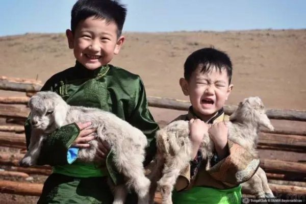 蒙古语安达是什么意思