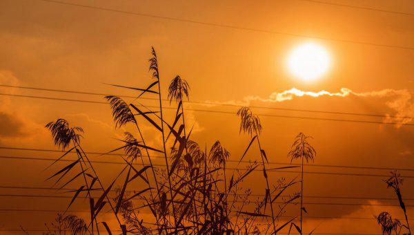 官场小说哪个最好看