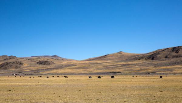 中国最大城市面积排名顺序
