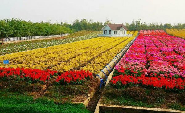 佛山旅游必去十大景点