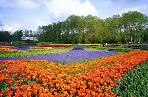 佛山旅游必去十大景点