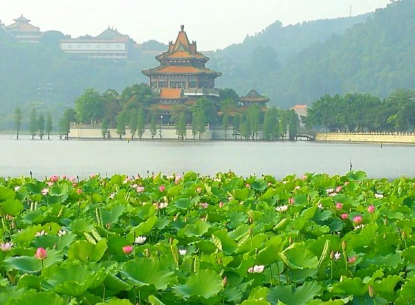 佛山旅游必去十大景点