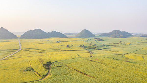 全国十大宜居城市排行榜出炉