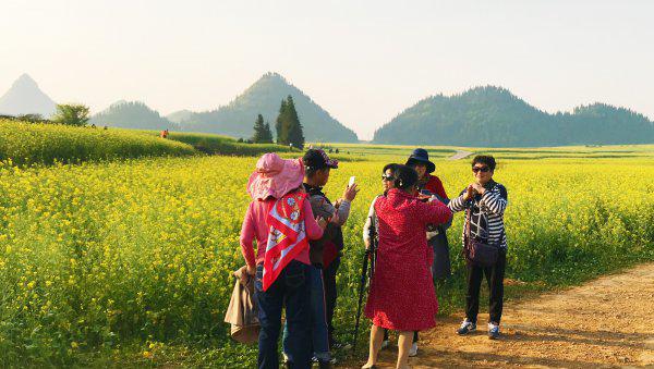 全国十大宜居城市排行榜出炉